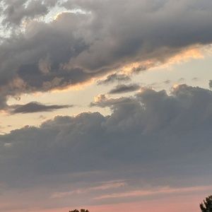 Meet your Posher, Terri